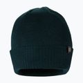 Férfi téli sapka Pitbull West Coast Beanie Small Logo dark green 2