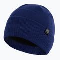 téli sapka Pitbull West Coast Beanie Small Logo royal blue