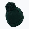 téli sapka Pitbull West Coast Beanie Bubble Small Logo dark green 2