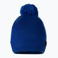 Férfi téli sapka Pitbull West Coast Beanie Bubble Small Logo royal blue 2