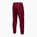 Férfi nadrág Pitbull West Coast Track Pants Athletic burgundy 6