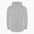 Férfi pulóver Pitbull West Coast Hooded Small Logo Spandex 210 grey 7