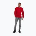 Férfi pulóver Pitbull West Coast Tanbark Crewneck Sweatshirt red 2