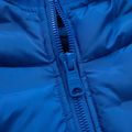 Férfi pehelykabát Pitbull West Coast Firestone royal blue 3