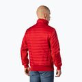 Pitbull West Coast férfi dzseki Shadow red 3