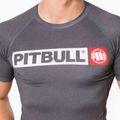 Férfi Rashguard Pitbull West Coast T-S Rash Hilltop grey/melange 4