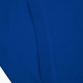 Férfi pulóver Pitbull West Coast Hooded Small Logo royal blue 5