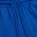 Férfi nadrág Pitbull West Coast Durango Jogging 210 royal blue 3