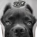 Női póló Pitbull West Coast Ir white 3