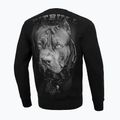 Férfi Pitbull West Coast Born In 1989 Crewneck pulóver fekete 3