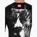 Férfi hosszú ujjú rashguard Pitbull Rashguard Street Dog black 5