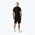 Férfi rövidnadrág Pitbull West Coast Dolphin black 2