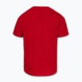 Férfi póló Pitbull Small Logo red 5