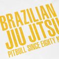 Férfi póló Pitbull West Coast BJJ Champions white 3