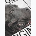 Férfi póló Pitbull West Coast Origin white 7