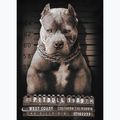 Férfi póló Pitbull West Coast Mugshot 2 black 8