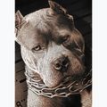 Férfi póló Pitbull West Coast Mugshot 2 black 9