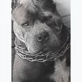 Férfi póló Pitbull West Coast Mugshot 2 white 9