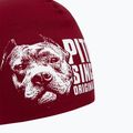 Férfi Pitbull Beanie Blood Dog bordó téli sapka 3