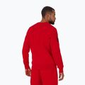 Férfi pulóver Pitbull Sherwood Crewneck red 3