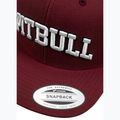 Baseballsapka Pitbull West Coast Snapback Pitbull YP Classic Premium burgundy 4