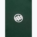 Férfi Pitbull Polo Shirt Pique Stripes Regular jáde zöld 4