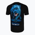 Férfi póló Pitbull West Coast In Blue black 5