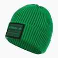 Férfi téli sapka Pitbull Beanie Dock green