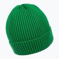 Férfi téli sapka Pitbull Beanie Dock green 2