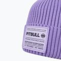 Férfi téli sapka Pitbull Beanie Dock lilac 3