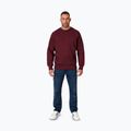 Férfi pulóver Pitbull Small Logo Crewneck burgundy 2