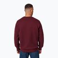 Férfi pulóver Pitbull Small Logo Crewneck burgundy 3