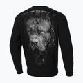 Férfi Pitbull West Coast Crewneck Sweatshirt Born In 1989 fekete 2