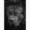 Férfi pulóver Pitbull Hooded Born In 1989 black 4