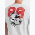Pitbull kutya 89 póló fehér 4