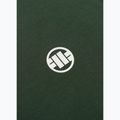 Férfi Pitbull Small Logo póló zöld 10