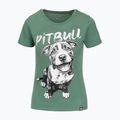 Pitbull Puppy 2 női póló menta 4