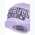 Pitbull Snapback sapka 1989 óta klasszikus lila 3
