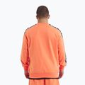 Férfi Pitbull Tape Nugget Crewneck Sweatshirt világos lazac 3