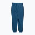 Férfi Pitbull Lancaster 2 Track Pants árnyalat kék 8