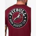 Férfi Pitbull San Diego CA fekete bordó póló 3