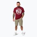 Férfi Pitbull Logo Palms póló burgundi 2