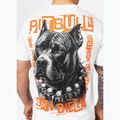 Férfi Pitbull Blacky fehér póló 4