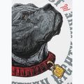 Pitbull Strength & Respect férfi póló fehér 5