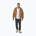 Férfi télikabát Pitbull Elkwood 3 Sherpa Hooded honey yellow 2