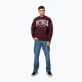 Férfi pulóver Pitbull Norton Crewneck dark burgundy 2