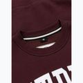 Férfi pulóver Pitbull Norton Crewneck dark burgundy 6