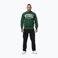 Férfi pulóver Pitbull Norton Crewneck green 2