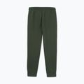 Férfi nadrág Pitbull Sampson Track Pants old green 5
