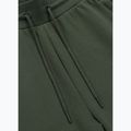Férfi nadrág Pitbull Sampson Track Pants old green 6